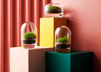 From miniature glass containers to tiger prints, houseplants can beautify any indoor environment