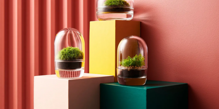 From miniature glass containers to tiger prints, houseplants can beautify any indoor environment